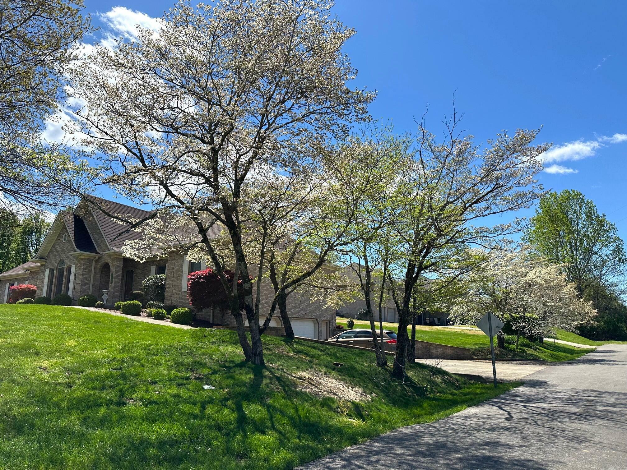 Property Photo: 101 Wildwood Drive KY 42503