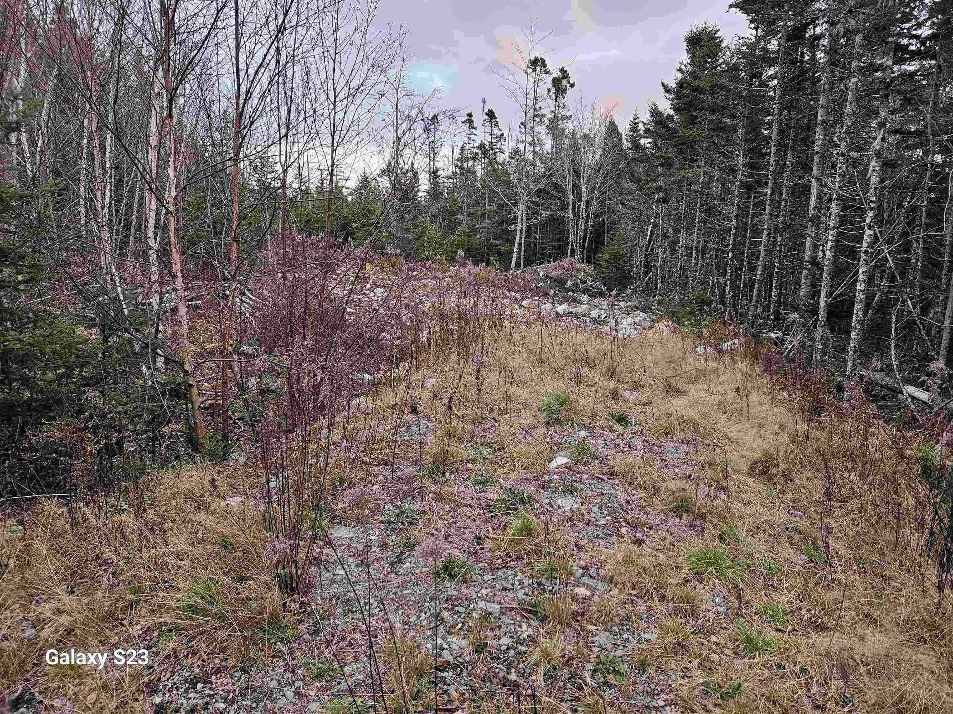 Property Photo: 165 Ostrea Lake Road NS B2Z 1E9