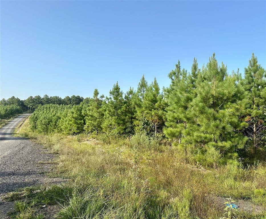 Property Photo: 162 Red Holly Trail OK 74728