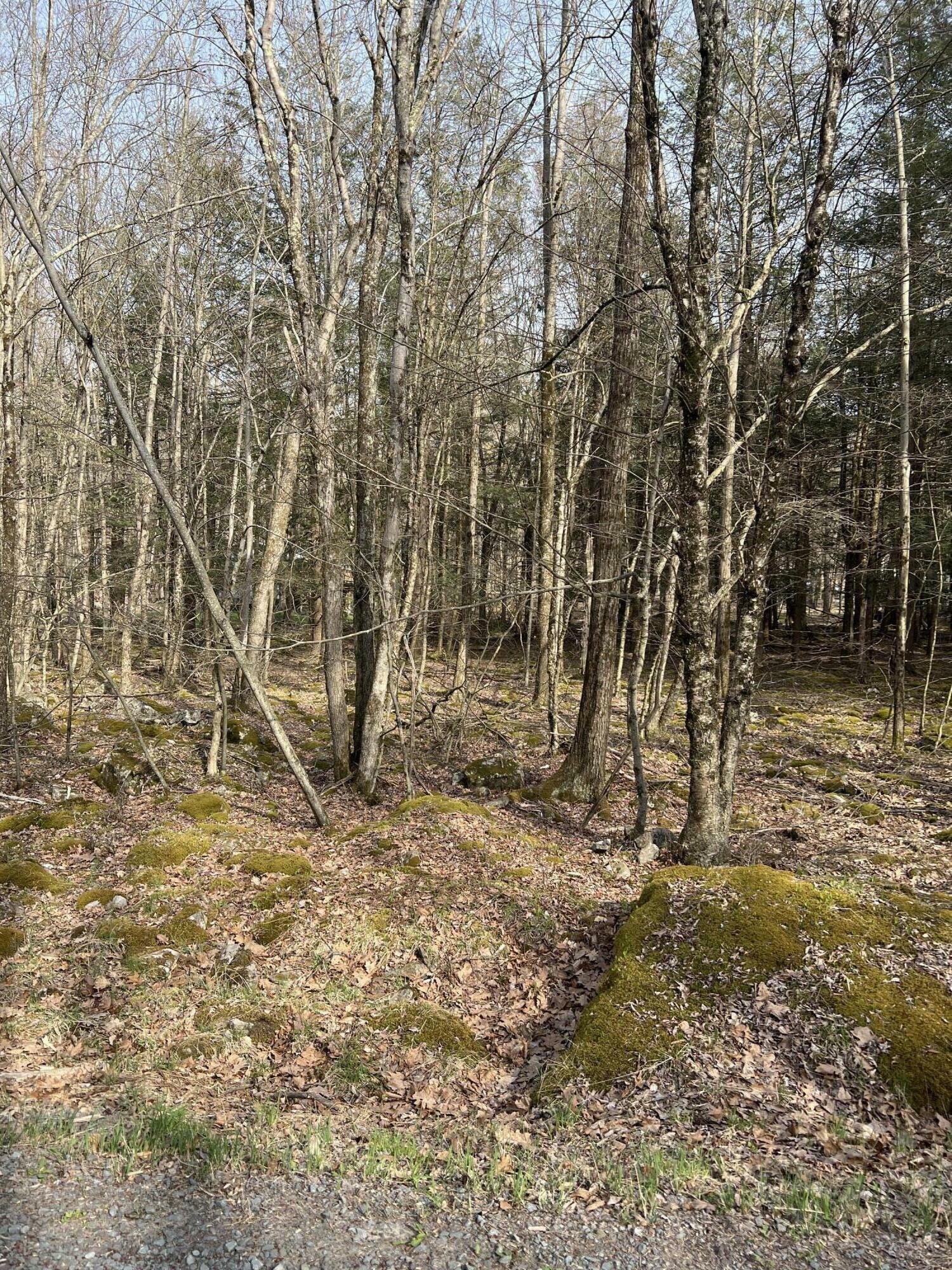 Property Photo: Lot 813 White Pine Drive PA 18347
