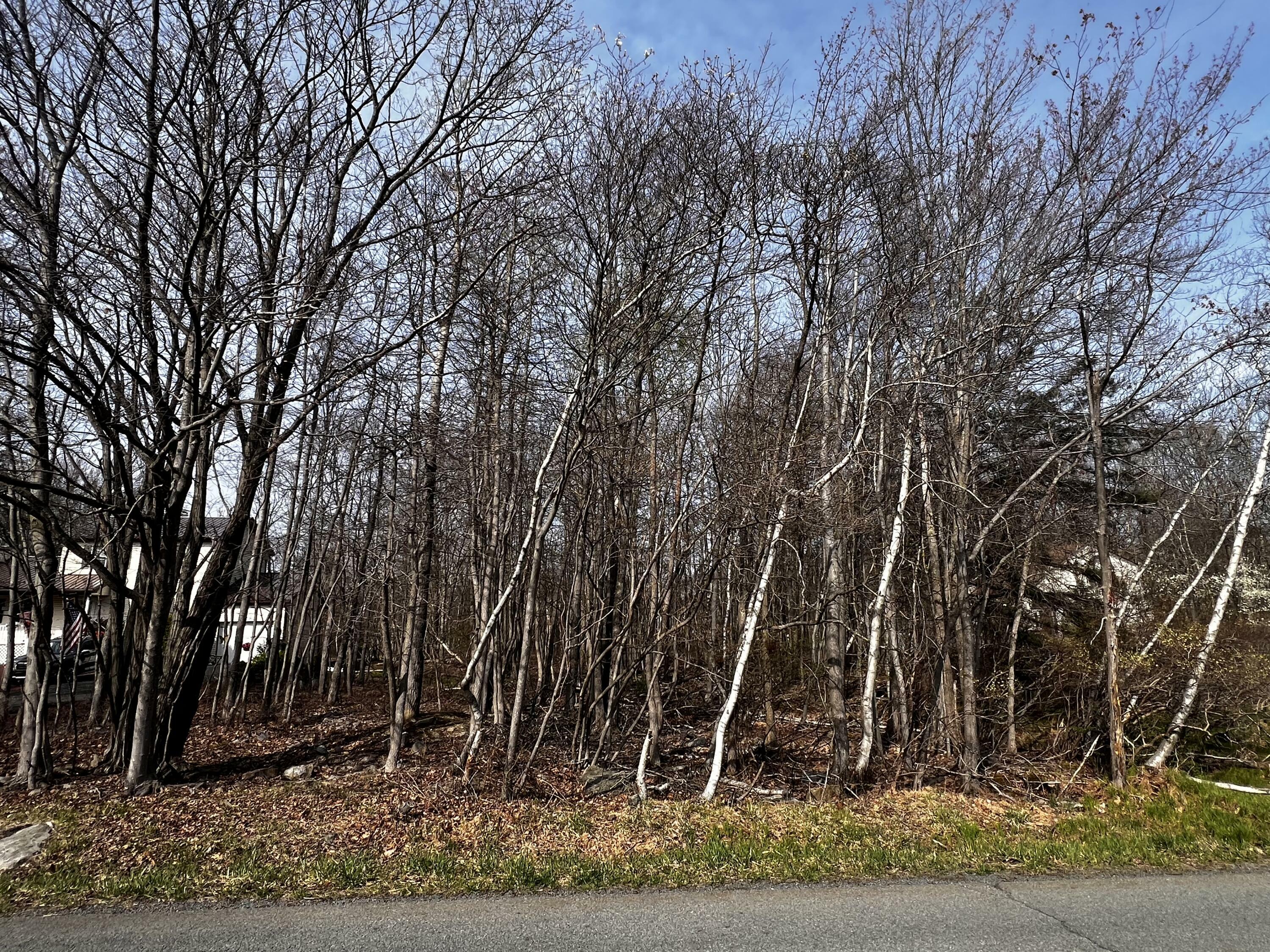 Property Photo: Lot 5420 Clearview Drive PA 18334