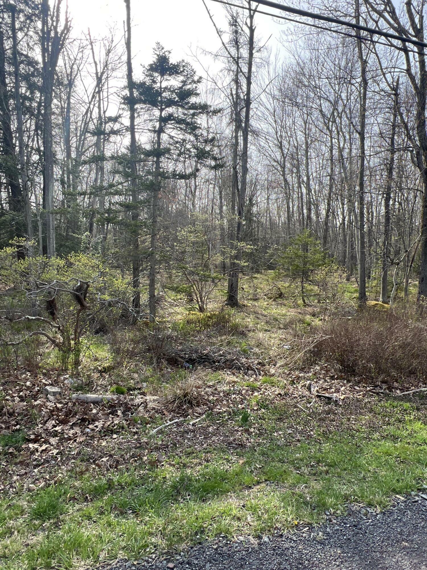 Property Photo: Lot 309-31 Wagner Way Way PA 18347