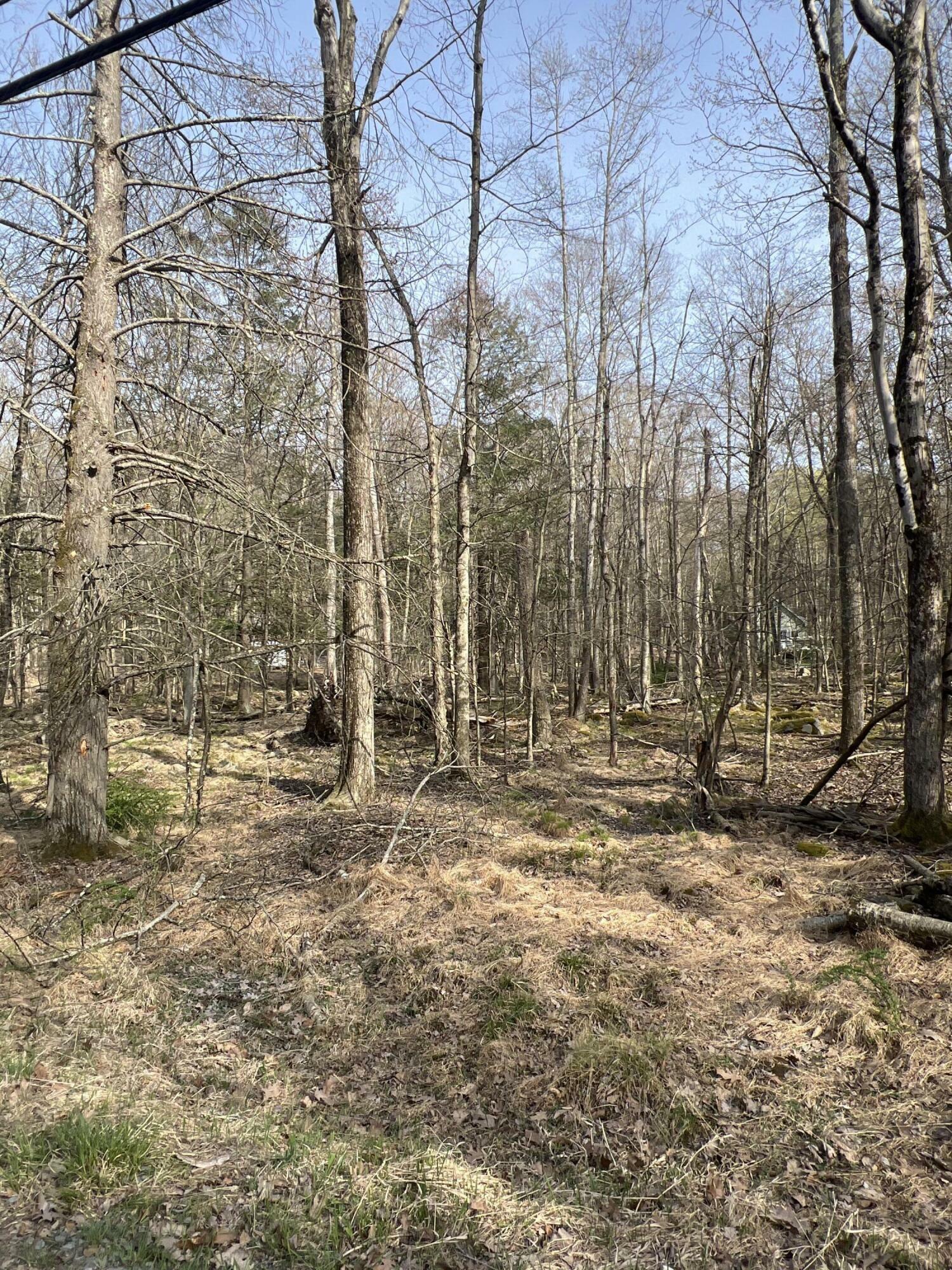 Property Photo: Lot 814 White Pine Drive PA 18347