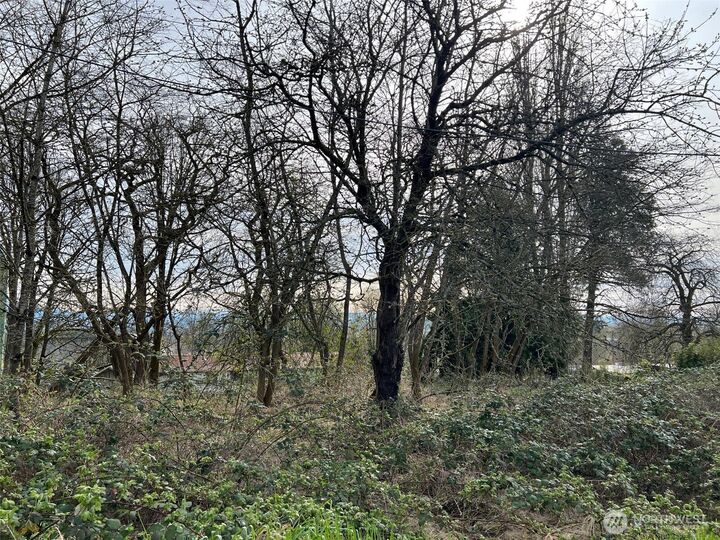 Property Photo:  4211 S 3rd Avenue  WA 98203 