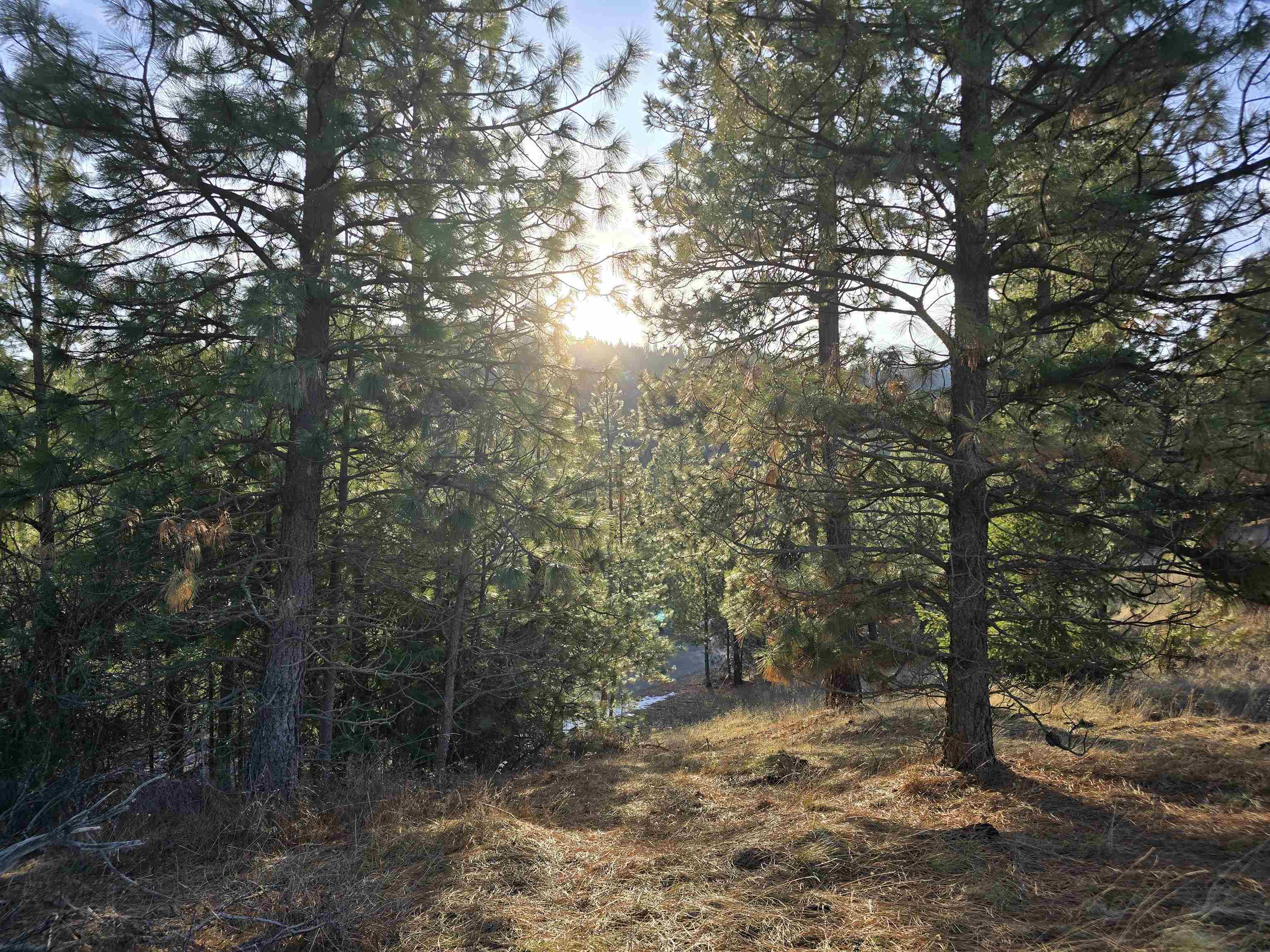 Property Photo: 0 E View Ridge Ln WA 99206
