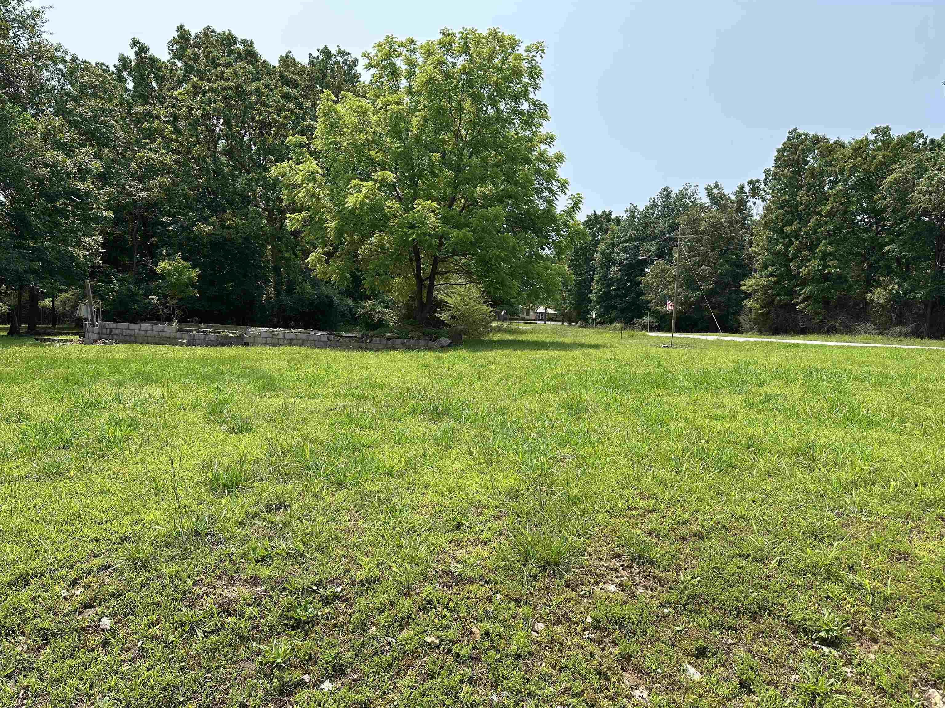 Property Photo: 320 Hazelwood Drive AR 72630