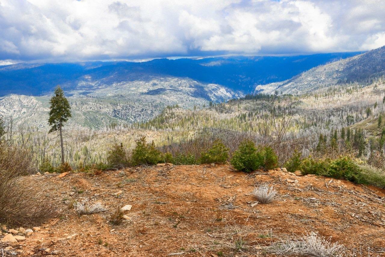 Property Photo: 7170 Yosemite Park Way CA 95389