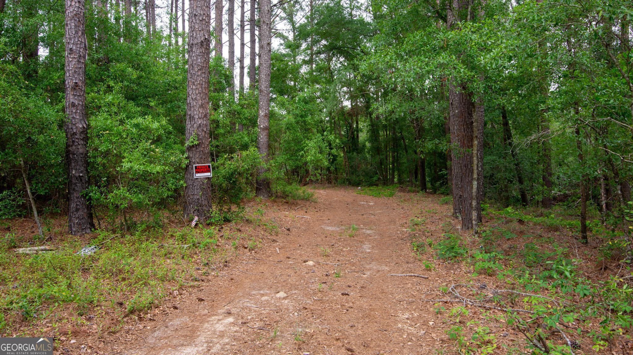 Property Photo: 760 Memphis Road GA 30439
