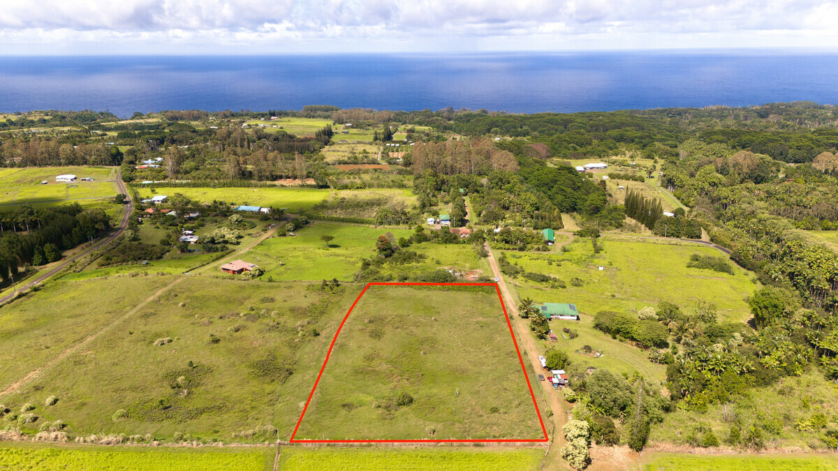 Chin Chuck Rd  Hakalau HI 96710 photo