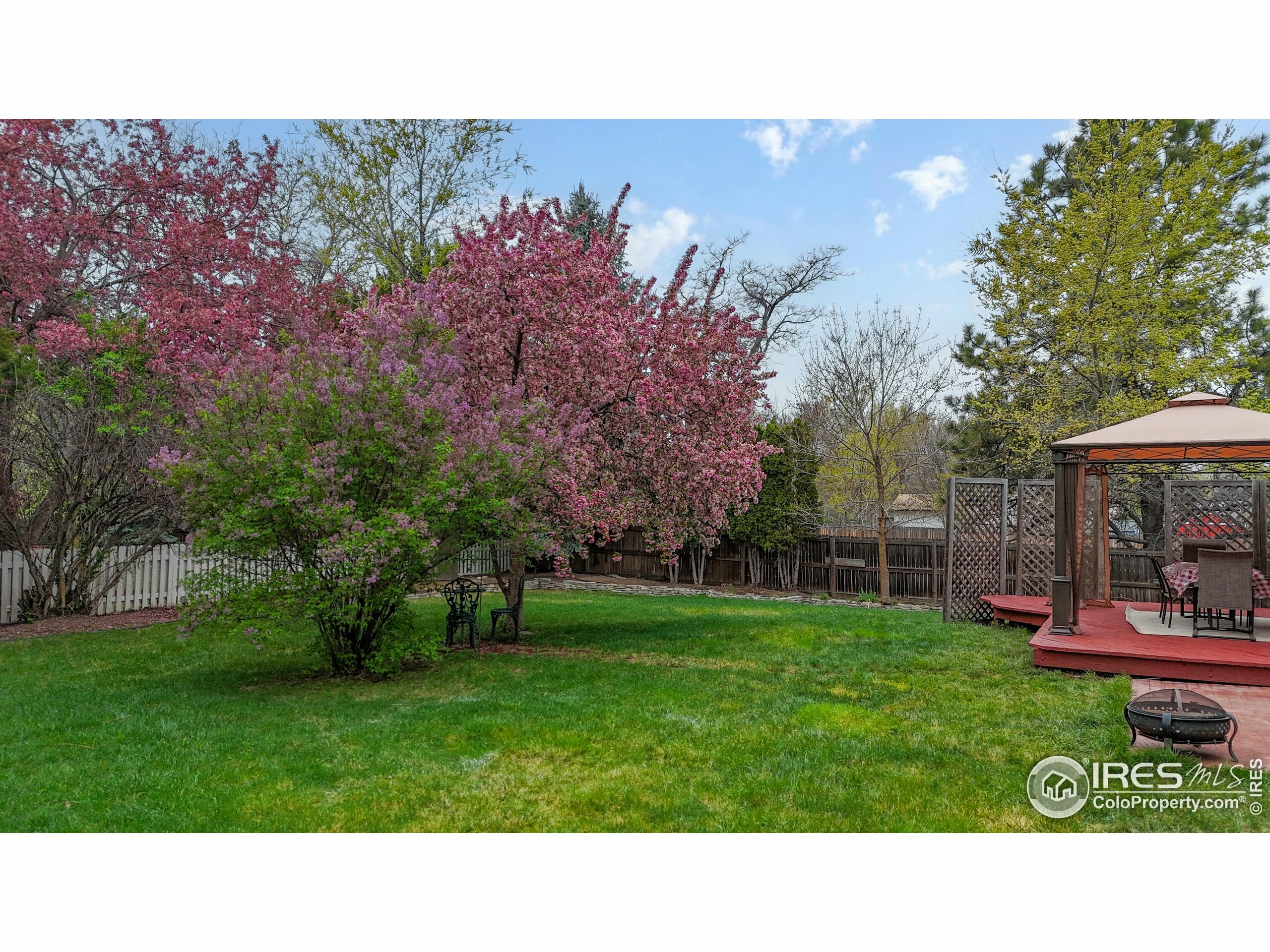 Property Photo: 1101 Mansfield Dr CO 80525