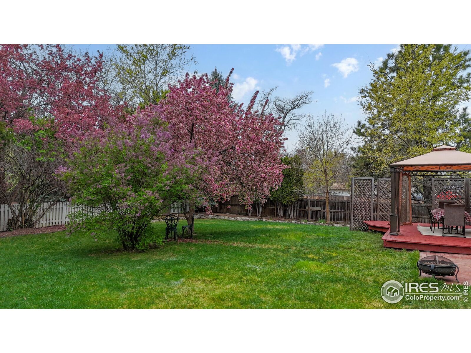 Property Photo: 1101 Mansfield Dr CO 80525