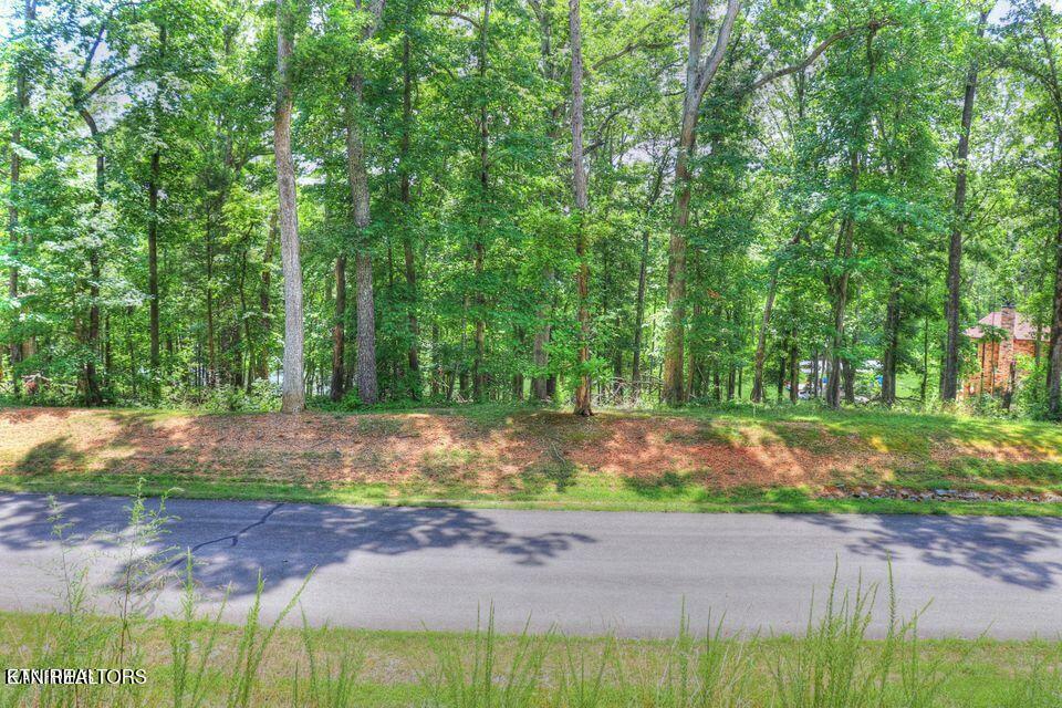 Property Photo: Lot 55 E Shore Drive TN 37854