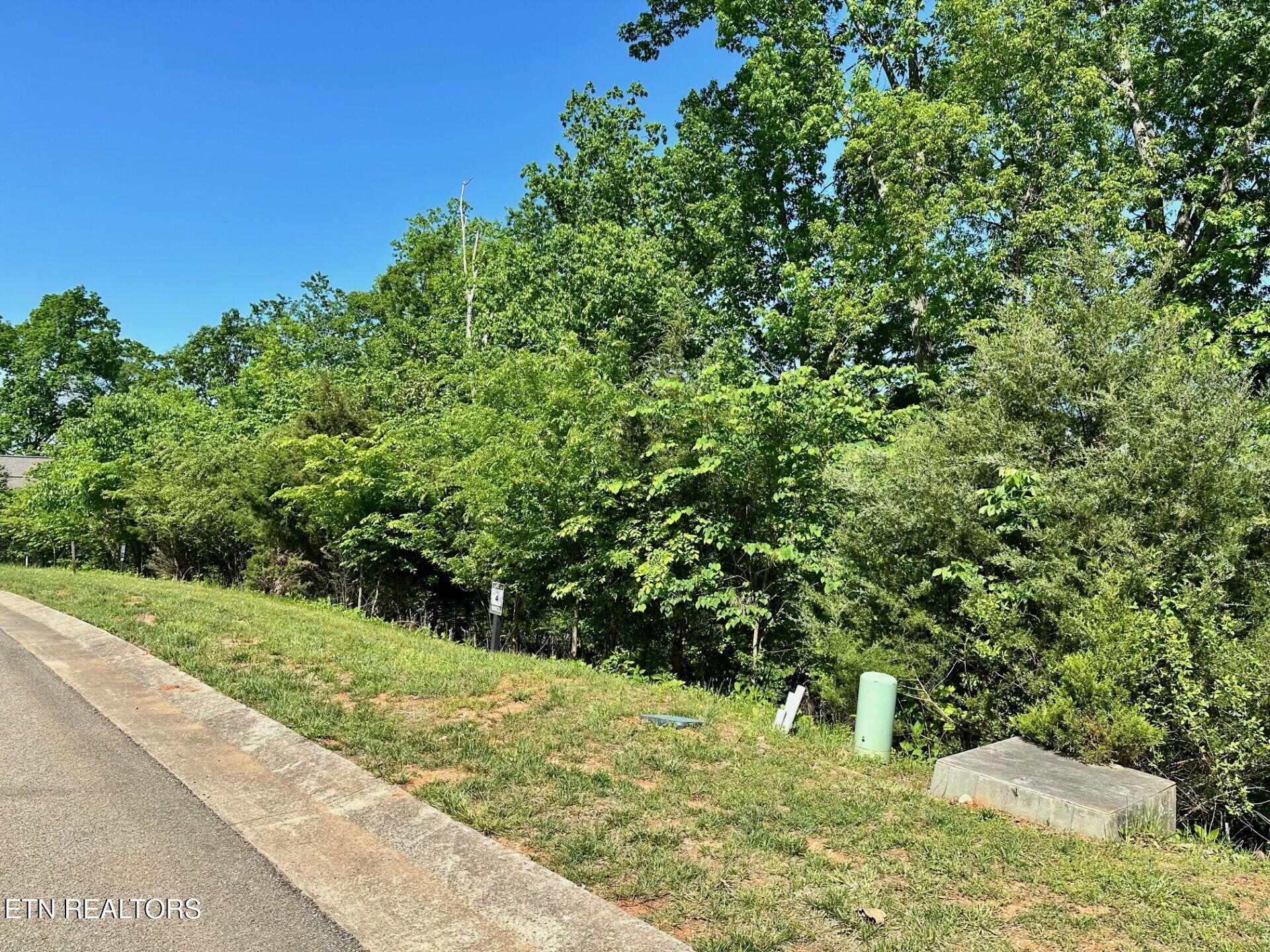 Property Photo: 585 Black Cove Lane TN 37774