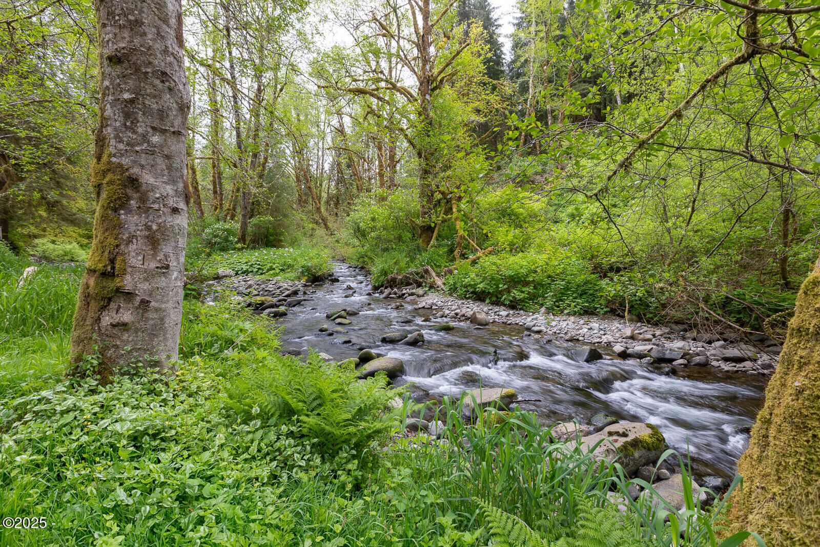 Property Photo: T/L 700 N New Bridge Rd OR 97368