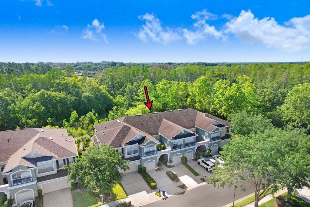 Property Photo: 2050 Park Crescent Drive FL 34639