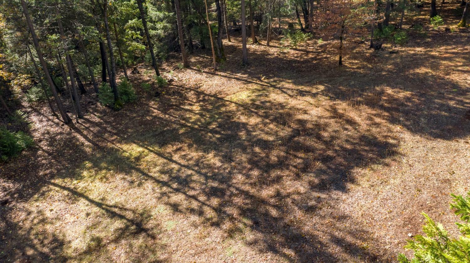 Property Photo: 13837 Gemini Court CA 95959