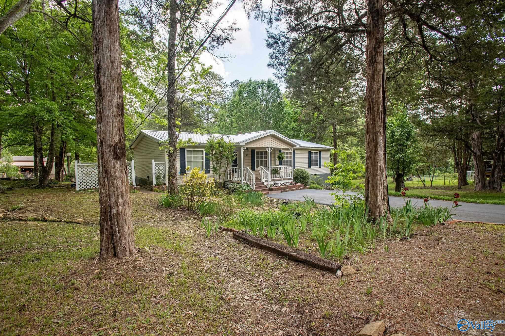 Property Photo: 251 Cedar Drive AL 35901