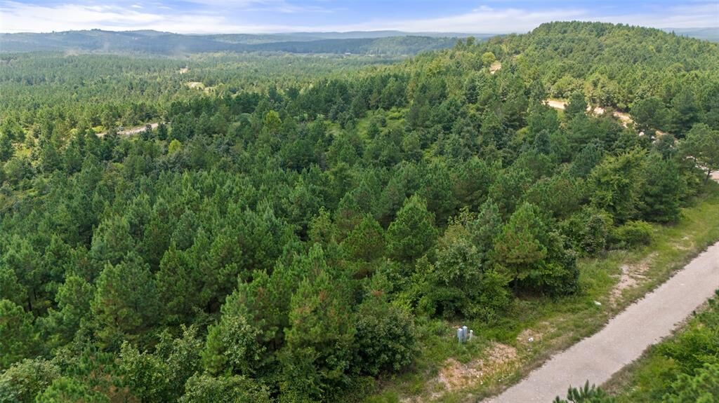 Property Photo:  368 Kaisley Blue Eye Way  OK 74728 