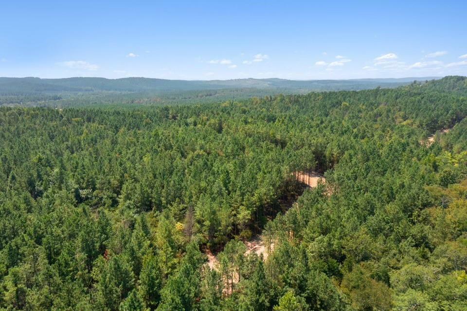 Property Photo: 317 Marked Pine Lane OK 74728