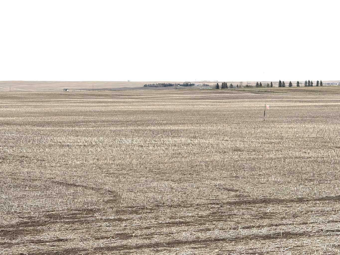 466 Ave E.  Rural Vulcan County AB T0L 0J0 photo