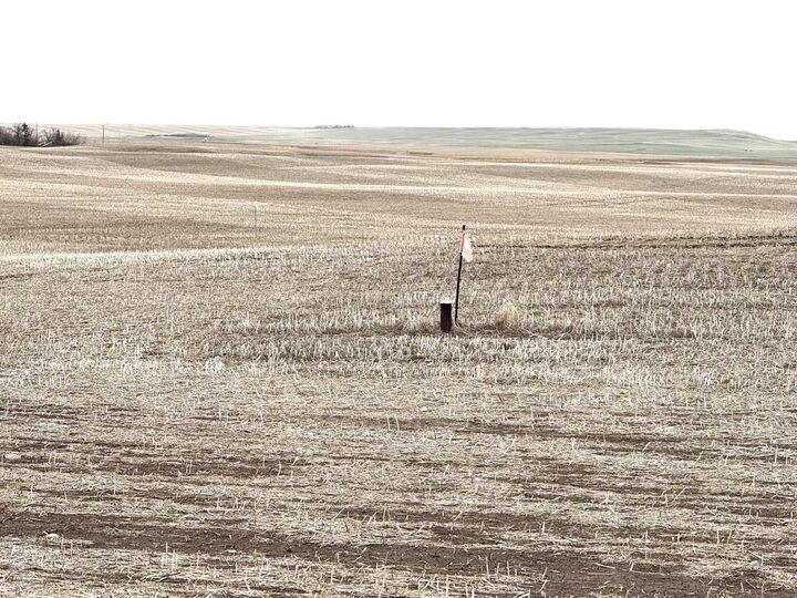 466 Ave E.  Rural Vulcan County AB T0L 0J0 photo
