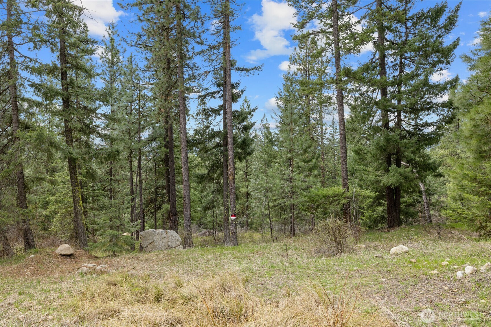190  Indigo Lane  Roslyn WA 98941 photo