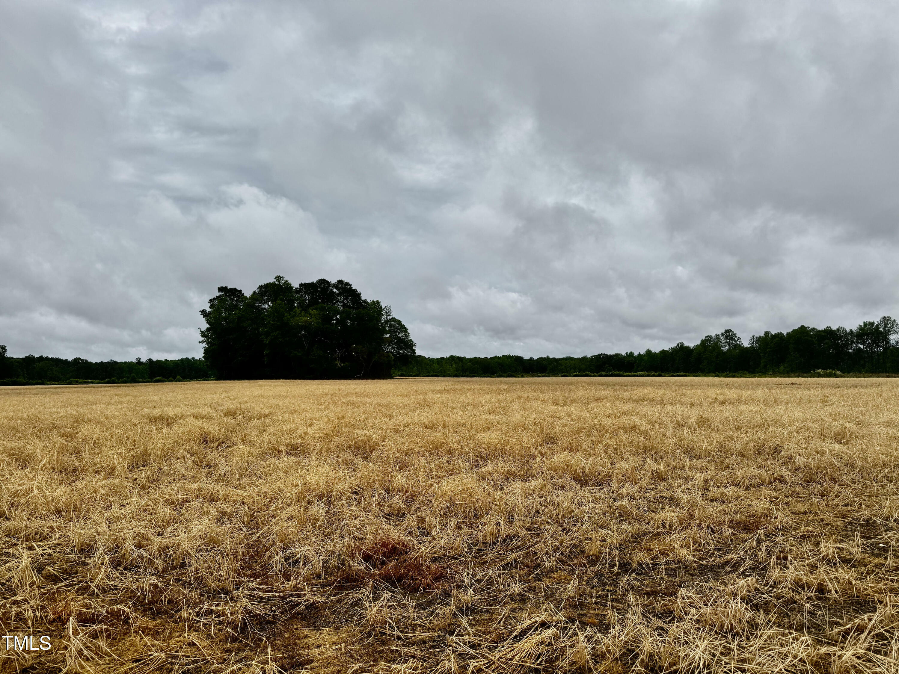 Property Photo: 0 N Nc 11 Highway NC 27855