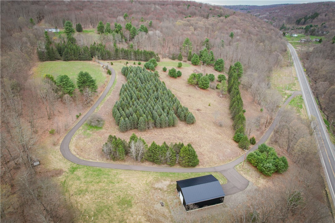 Property Photo: 828 State Route 79 NY 13835
