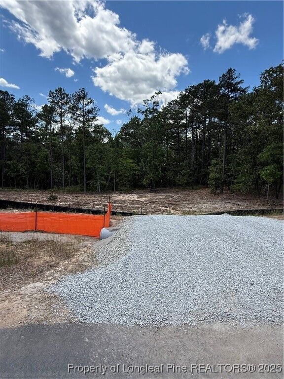 Property Photo: 598 Blossom Trail NC 27546