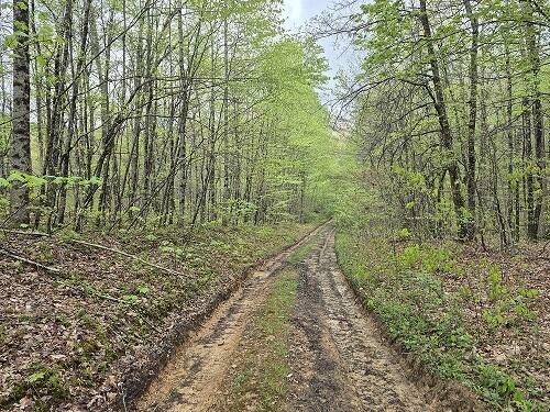 Property Photo: Alaska Mountain Road WV 25976
