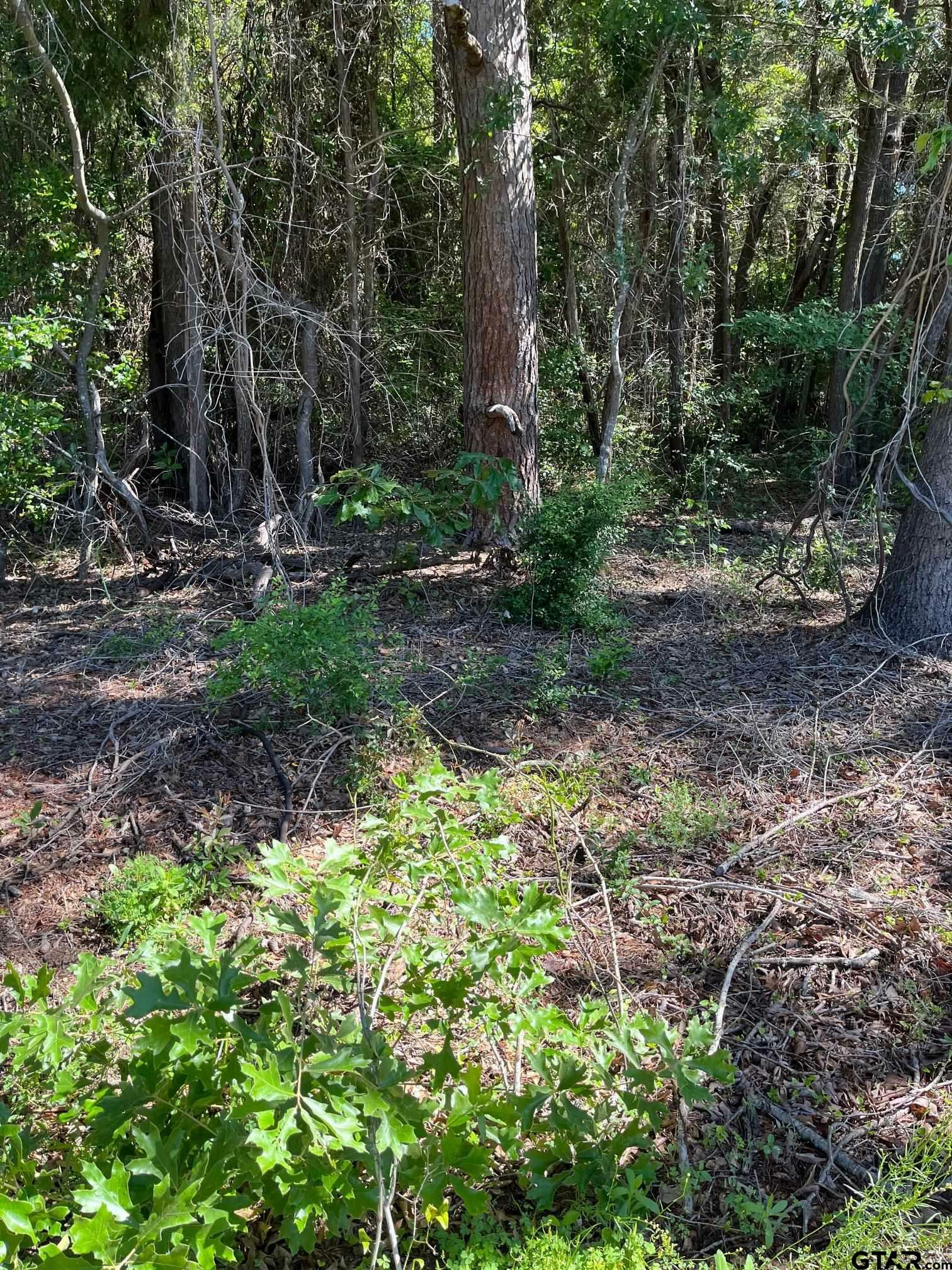Property Photo: Tbd Fm 1801 TX 75773