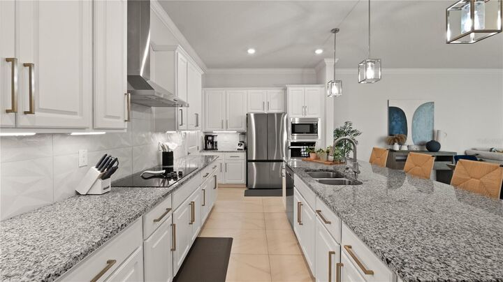 Property Photo:  8946 Ivy Stark Boulevard  FL 33545 