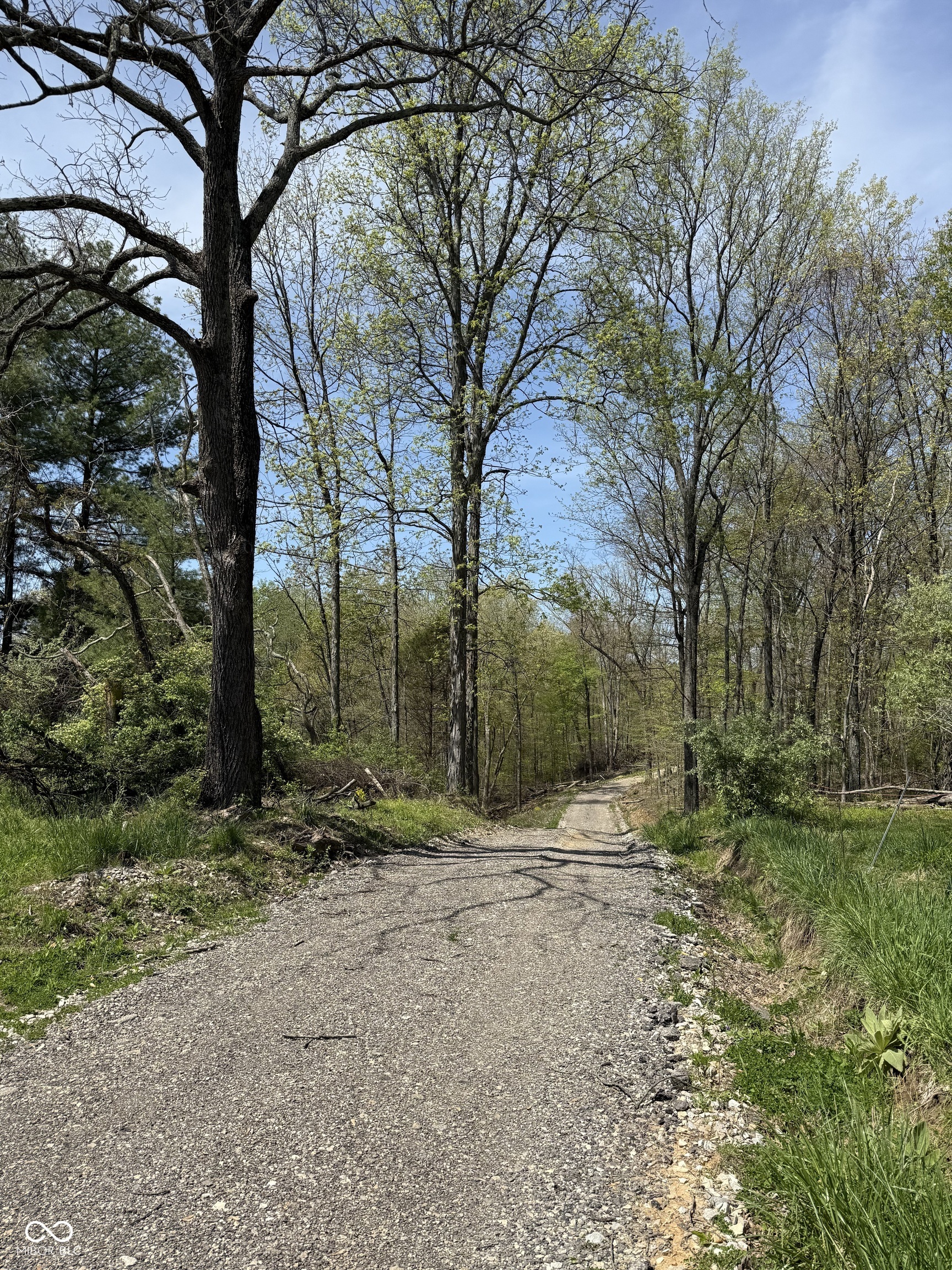 Property Photo: 8448 E Dobbs Cemetary Road IN 47201