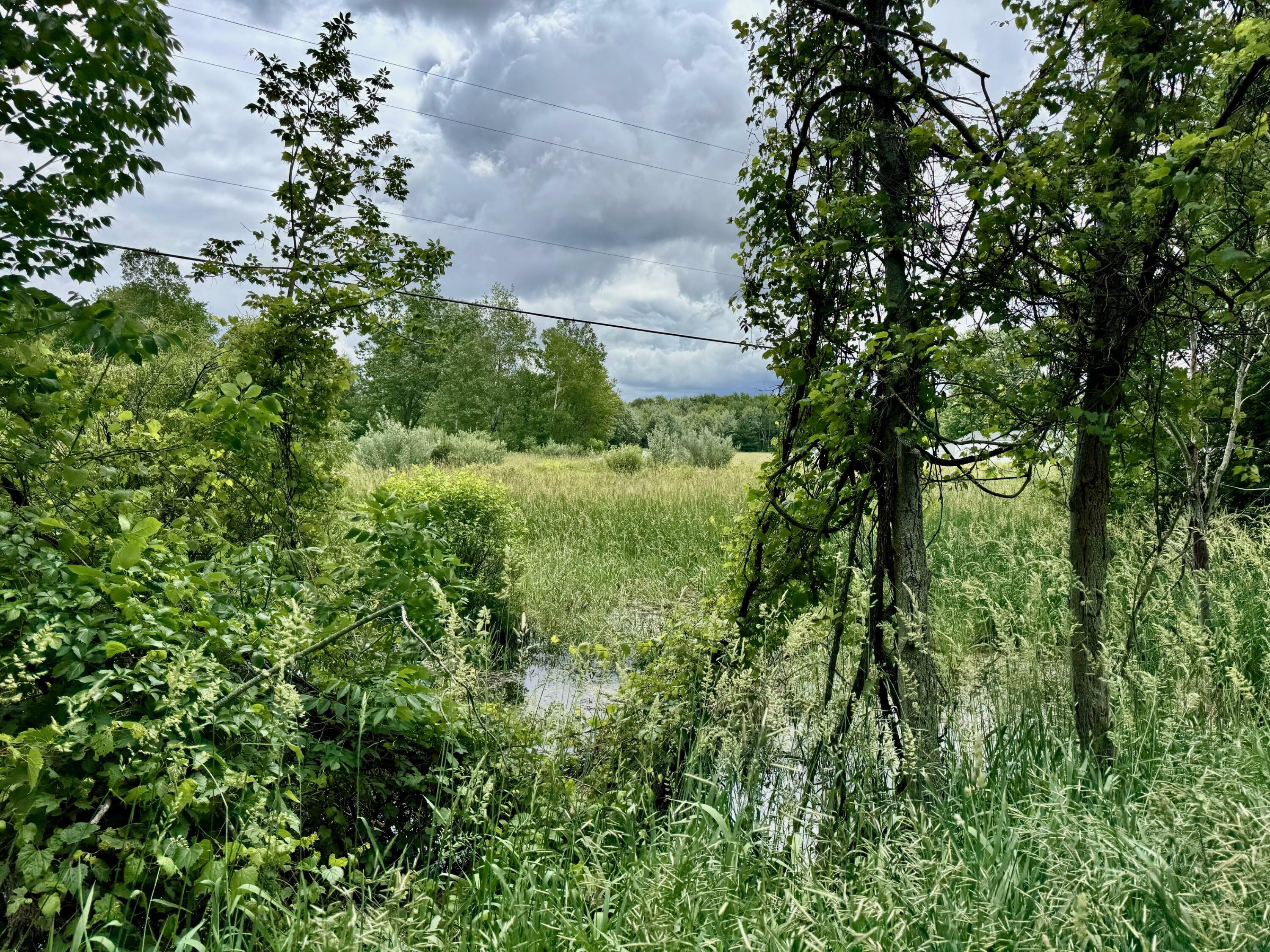Property Photo: 11280 Willow Avenue MI 49327
