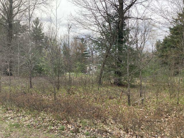 Property Photo: V/L 192nd Avenue MI 49307