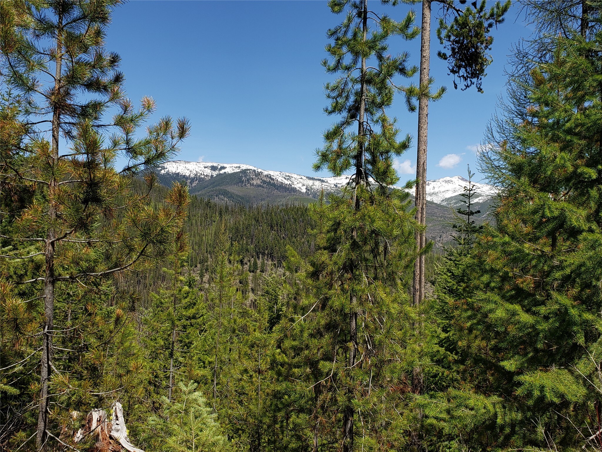 Property Photo: Tract 7 Little Frank Lode Nine Mile Road MT 59846