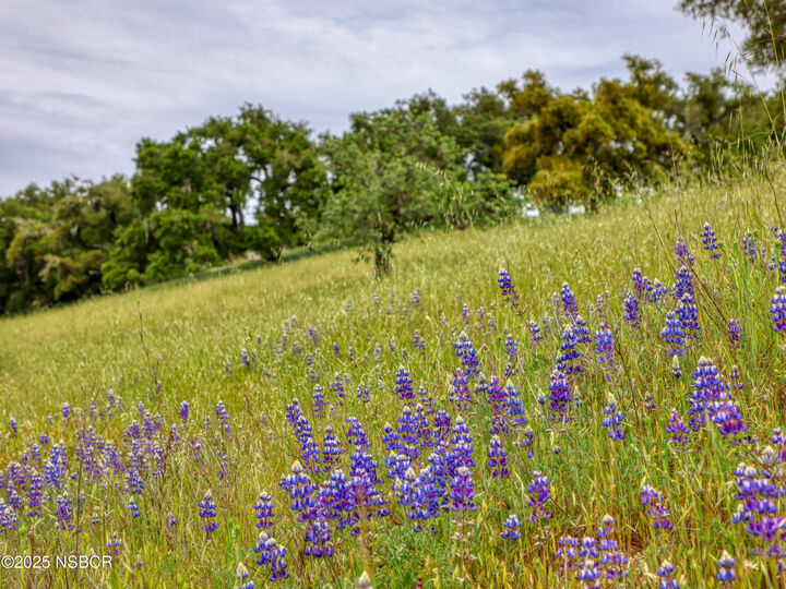 Property Photo:  9875 Suey Creek Road  CA 93454