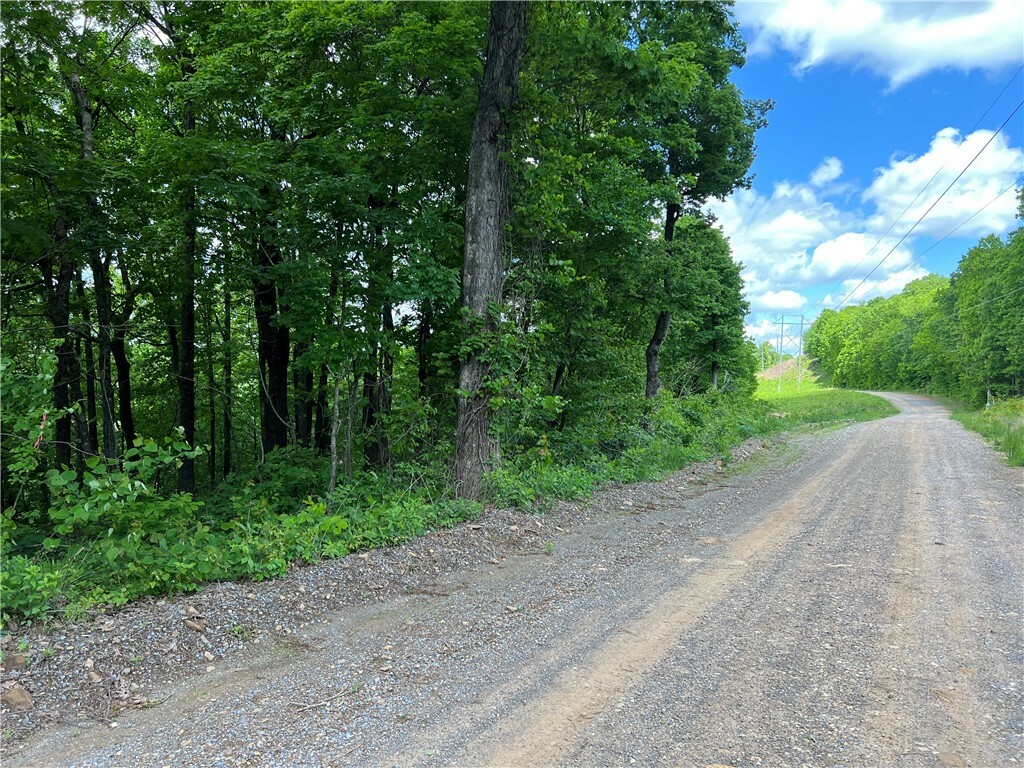 Property Photo:  Lick Fork Road  AR 72686 