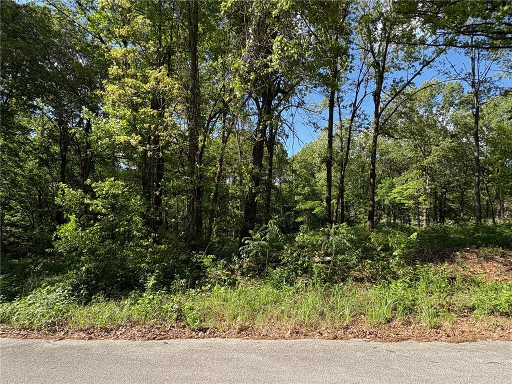 Property Photo: 1788 Cody Court AR 72601