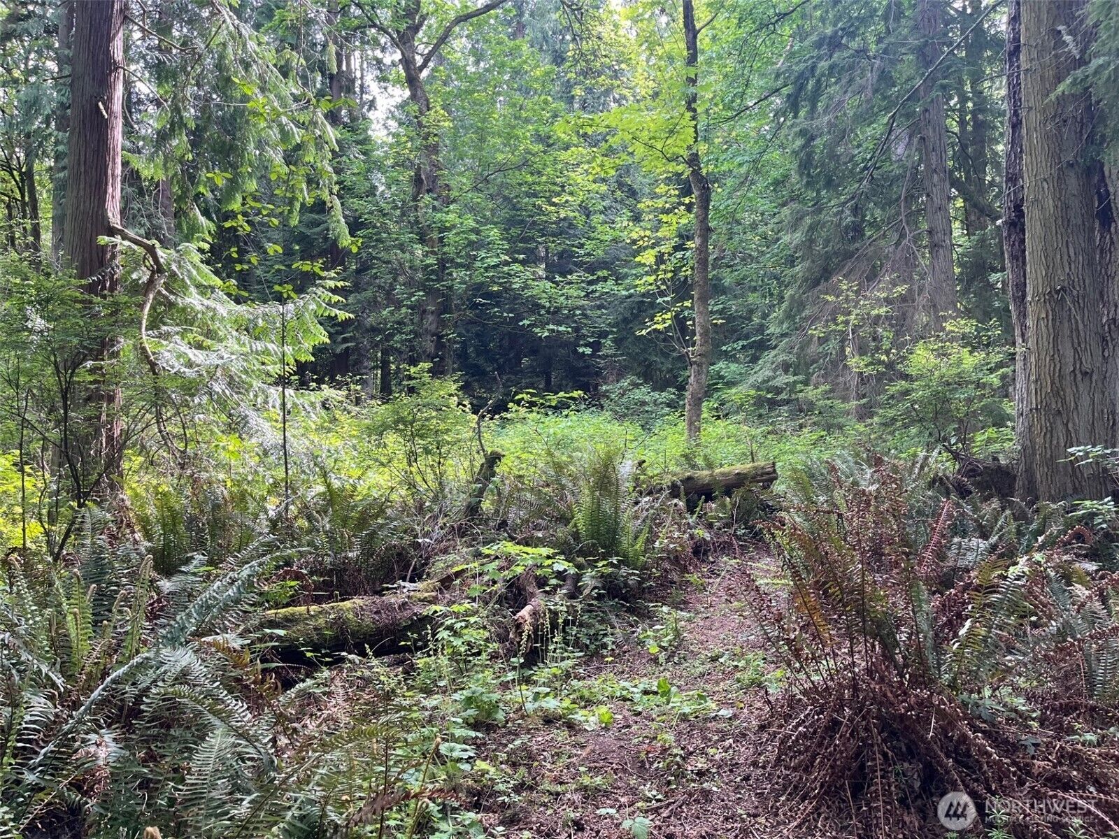 Property Photo:  32428  Hoffman Road  WA 98346 
