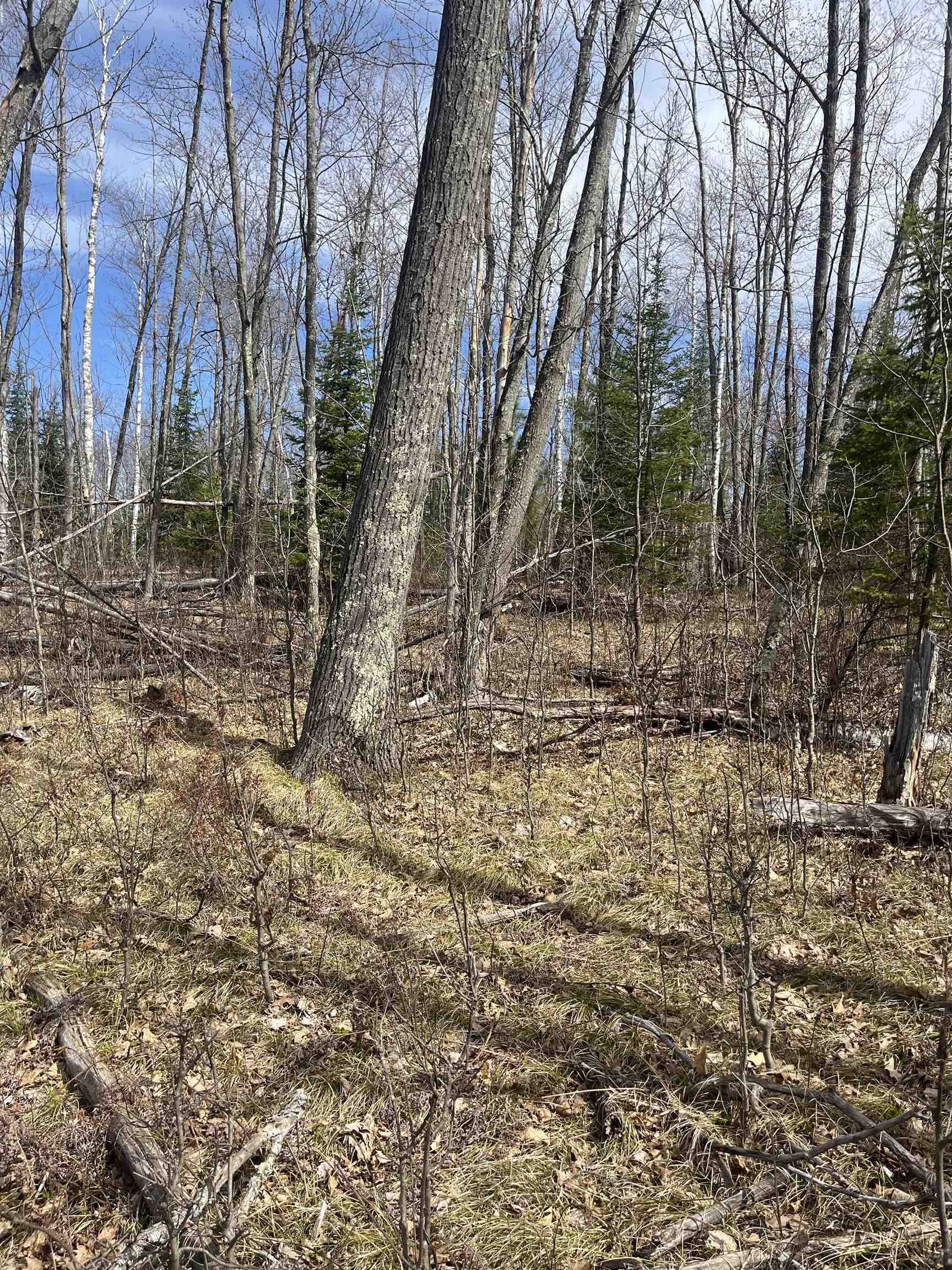 Property Photo: Nature Trail Road WI 54175