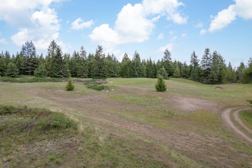 Property Photo: Nka Forest Grove Ln WA 99156