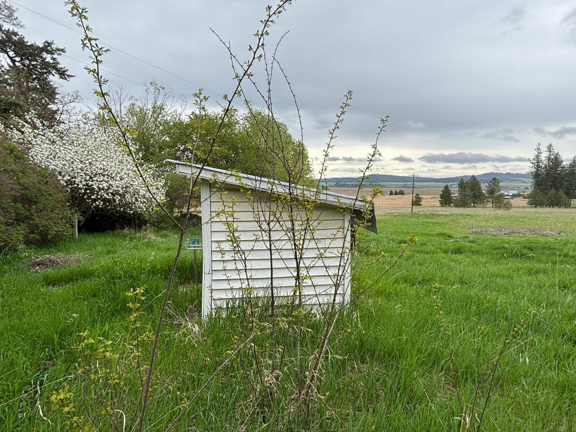 Property Photo: 5399 S Wallbridge Rd WA 99006