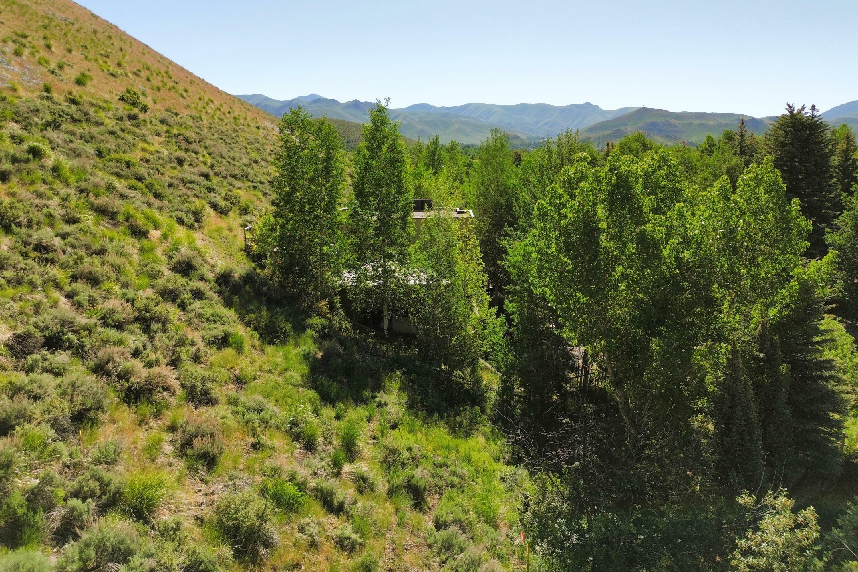 219 Hillside Dr  Ketchum ID 83340 photo