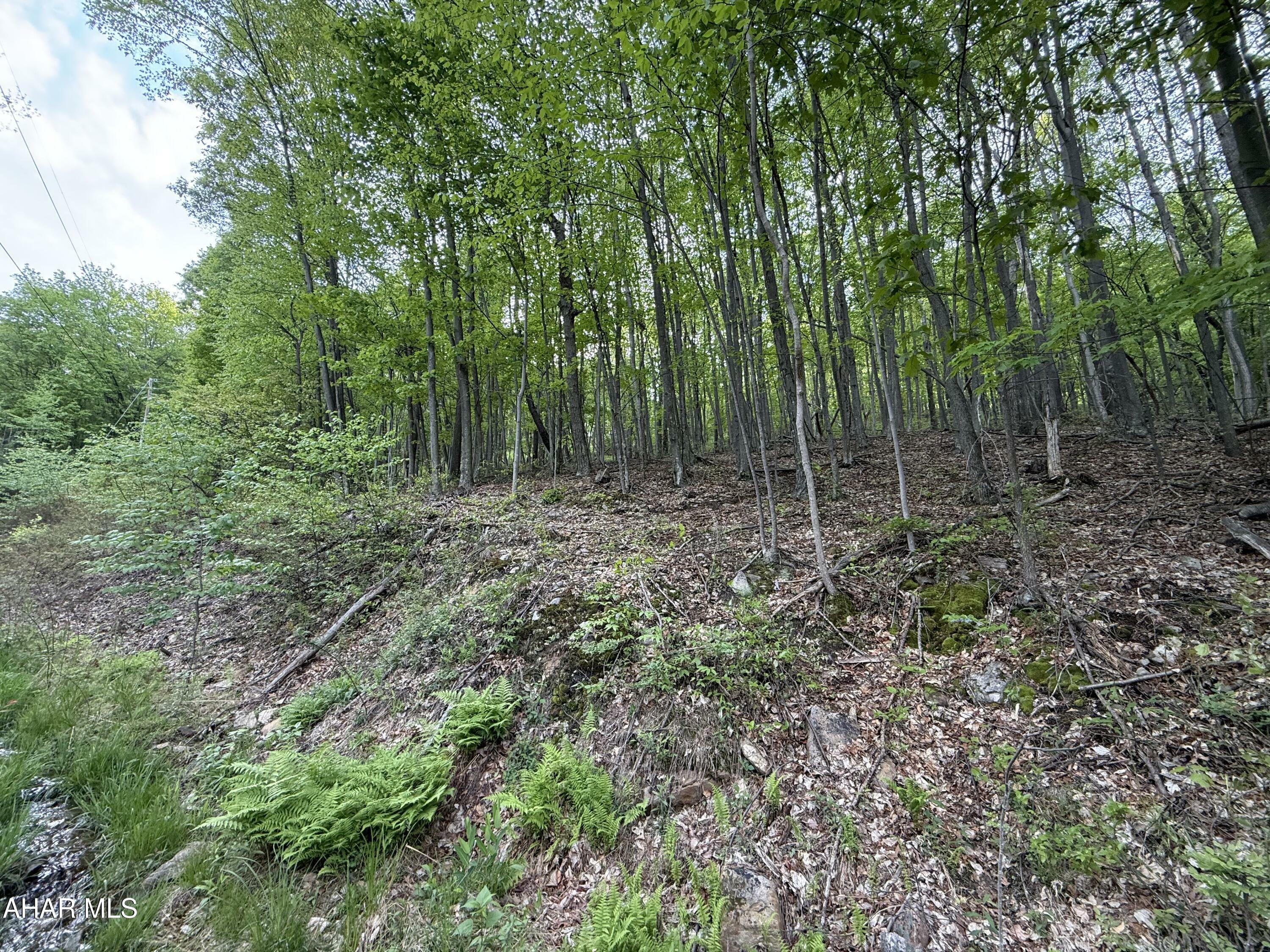 Property Photo: 0 Cherry Run Road PA 15522