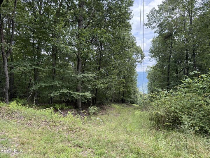 0 Cherry Run Road  Bedford PA 15522 photo