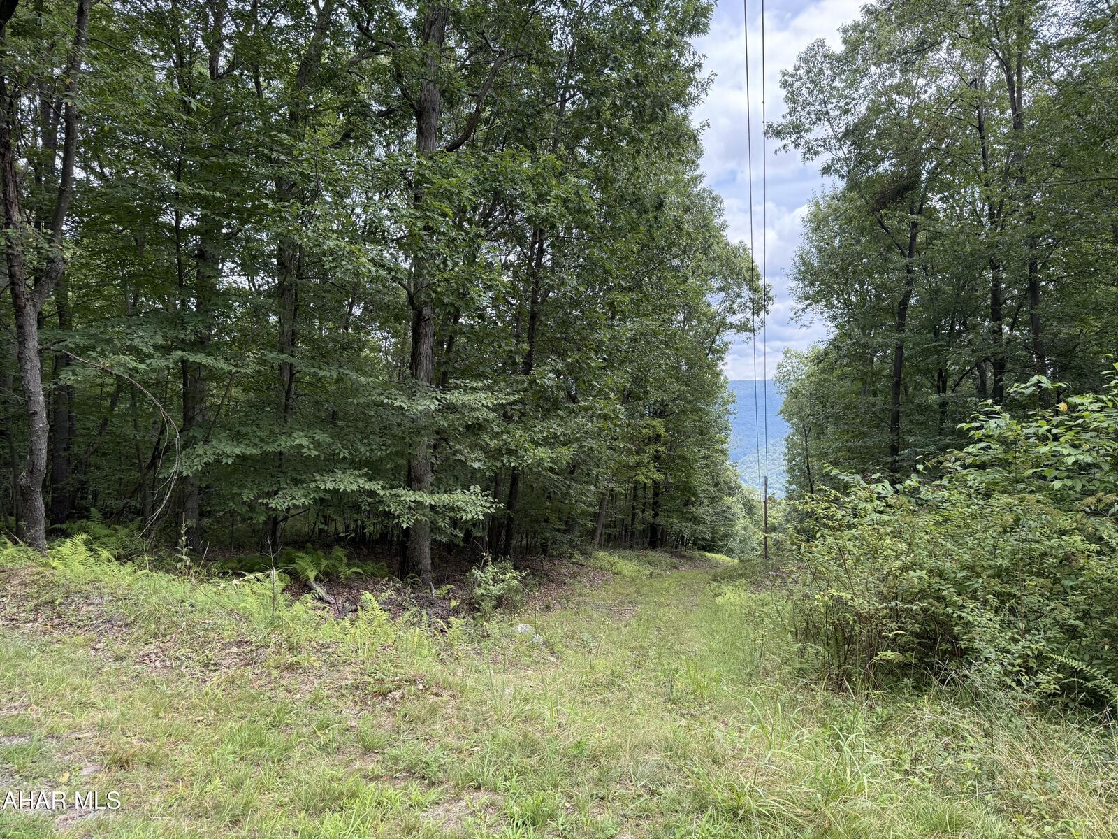 Property Photo: 0 Cherry Run Road PA 15522