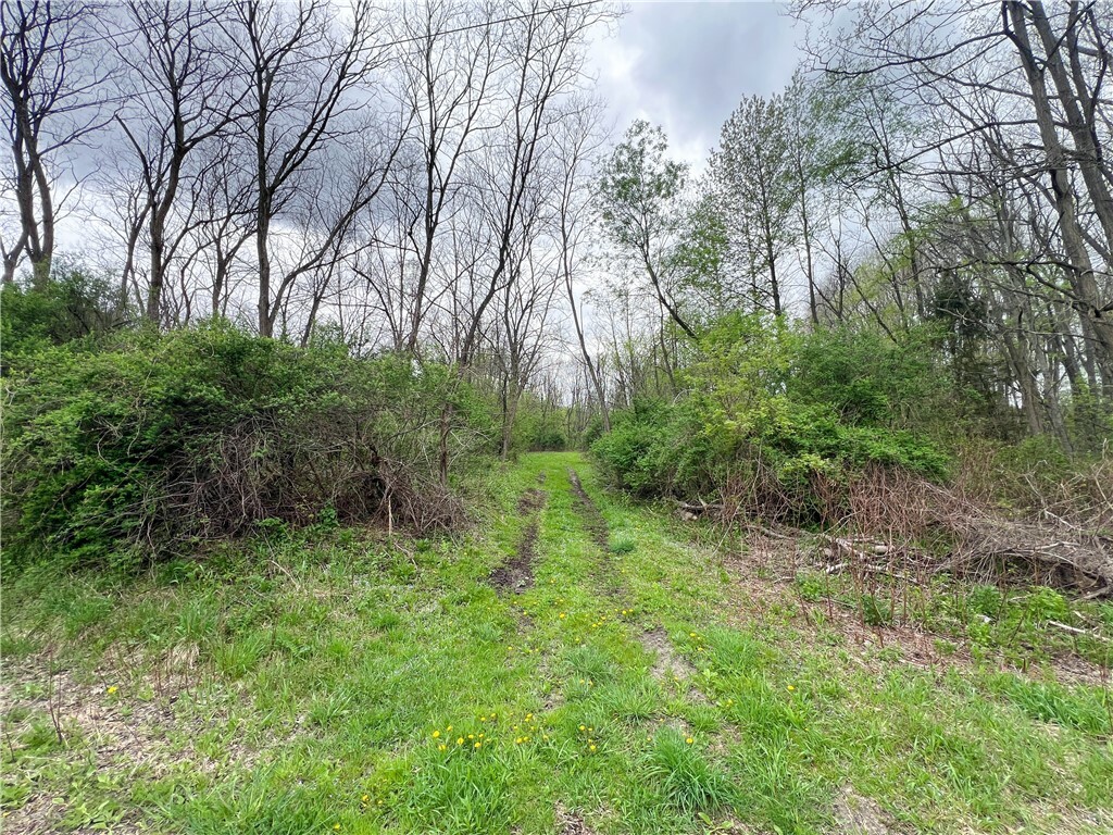 Property Photo: 0 Brown Road NY 14883