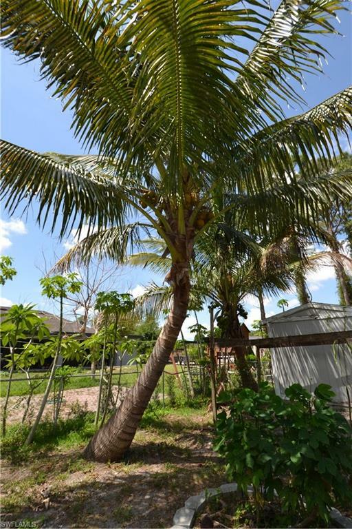 Property Photo: 4015 1st St SW FL 33976