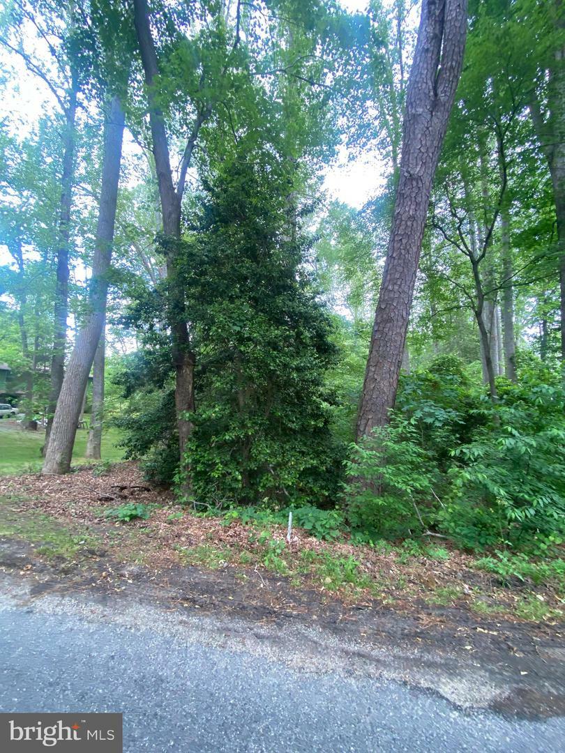 Property Photo: Dry Bridge Rd VA 22546